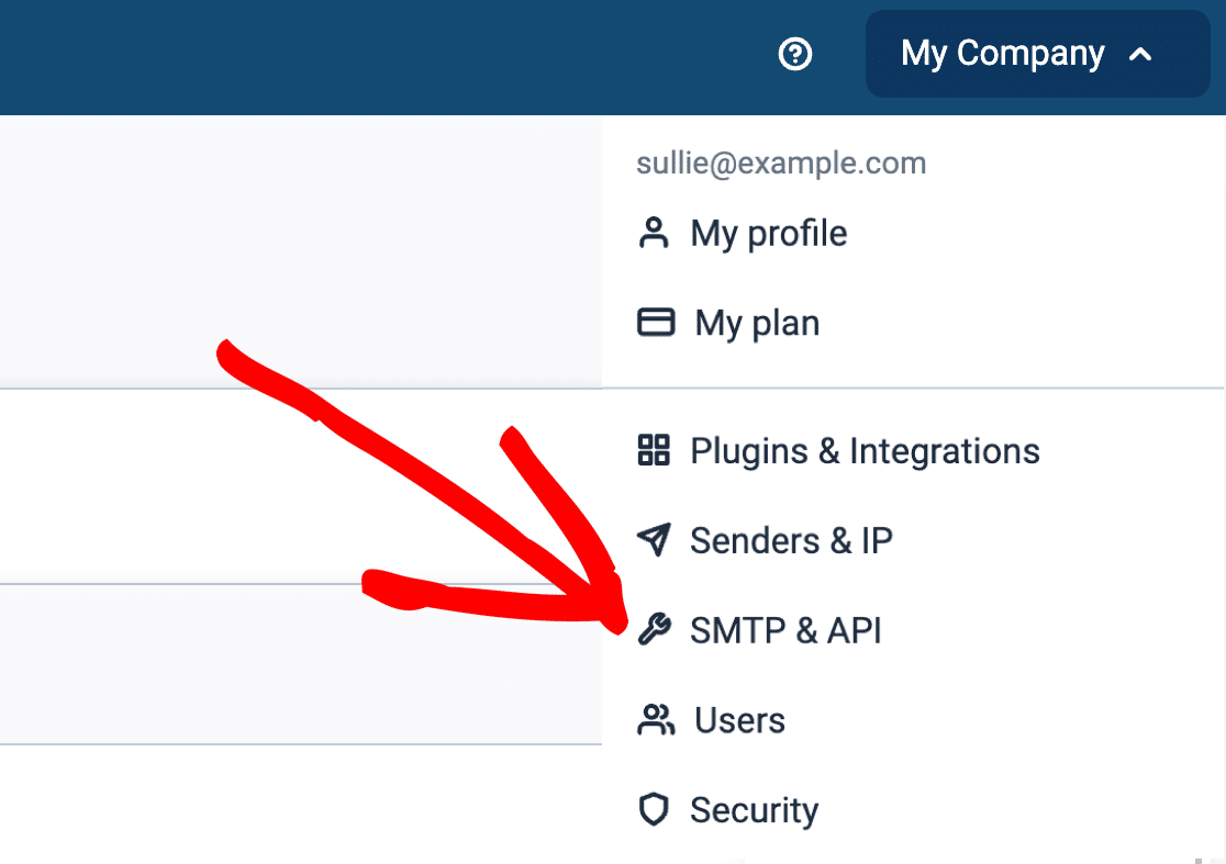 Selecionar as opções SMTP e API na Sendinblue