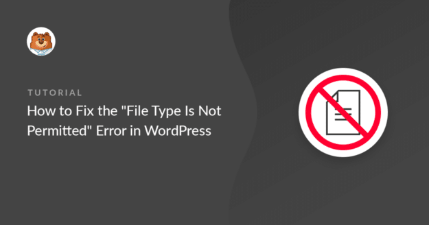Fix the File Type is Not Permitted error